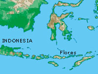 Map of Flores